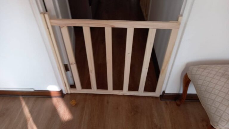 WhatsApp Image 2024-08-02 at 7.51.47 PM (2)