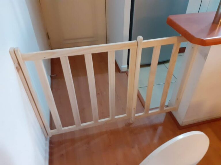 WhatsApp Image 2024-08-02 at 7.51.47 PM