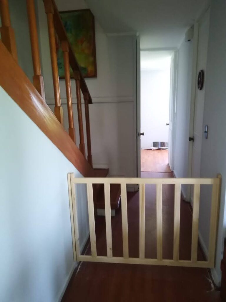 WhatsApp Image 2024-08-02 at 7.51.48 PM